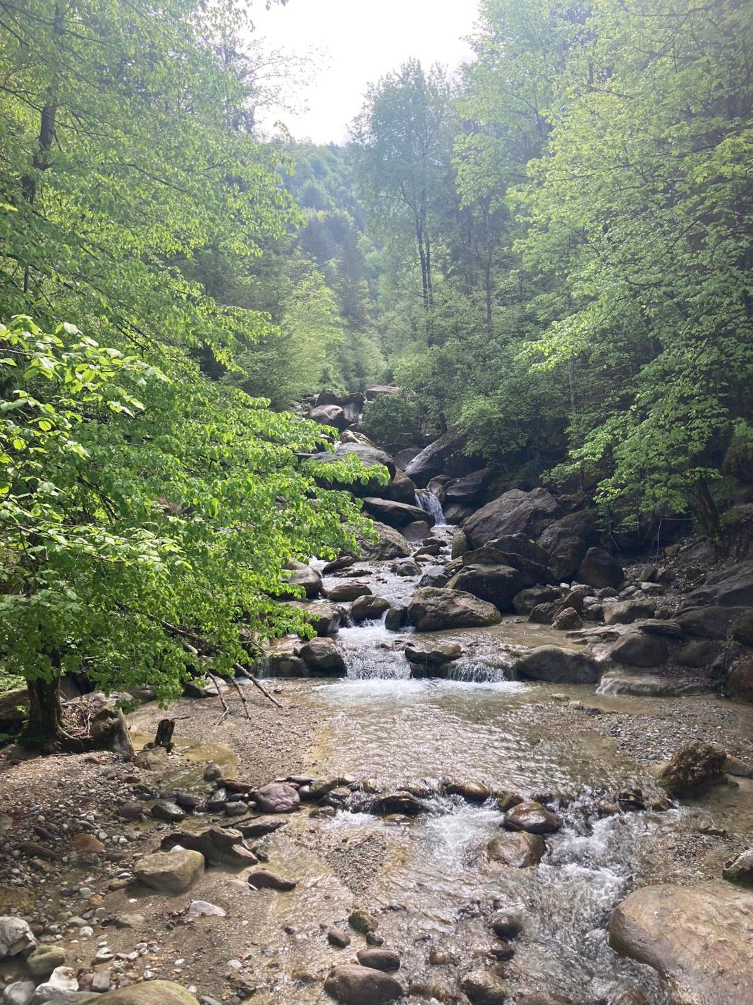 Ortighera Monolocale Relax Sulla Ciclabile Lenna Kültér fotó