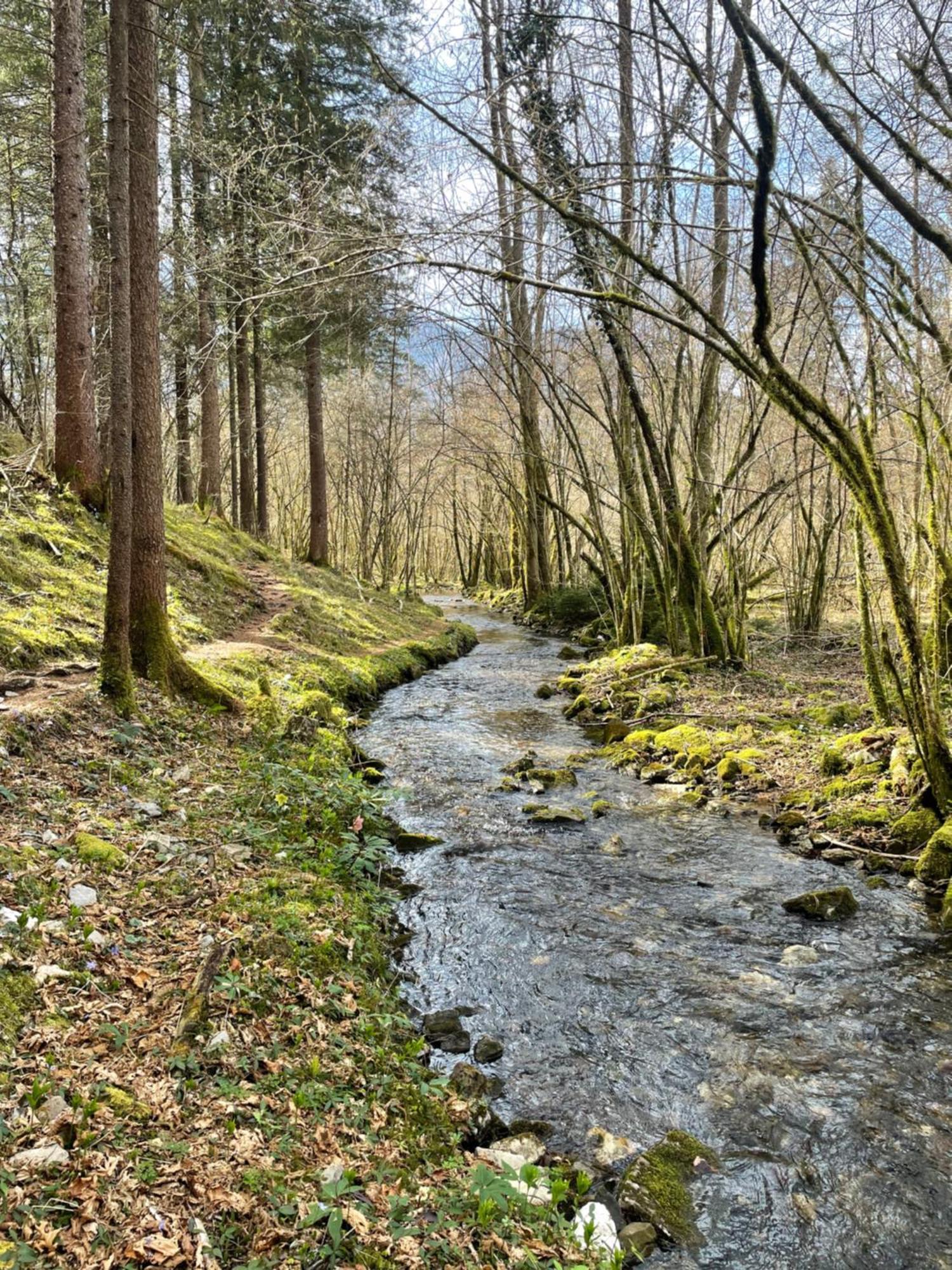 Ortighera Monolocale Relax Sulla Ciclabile Lenna Kültér fotó