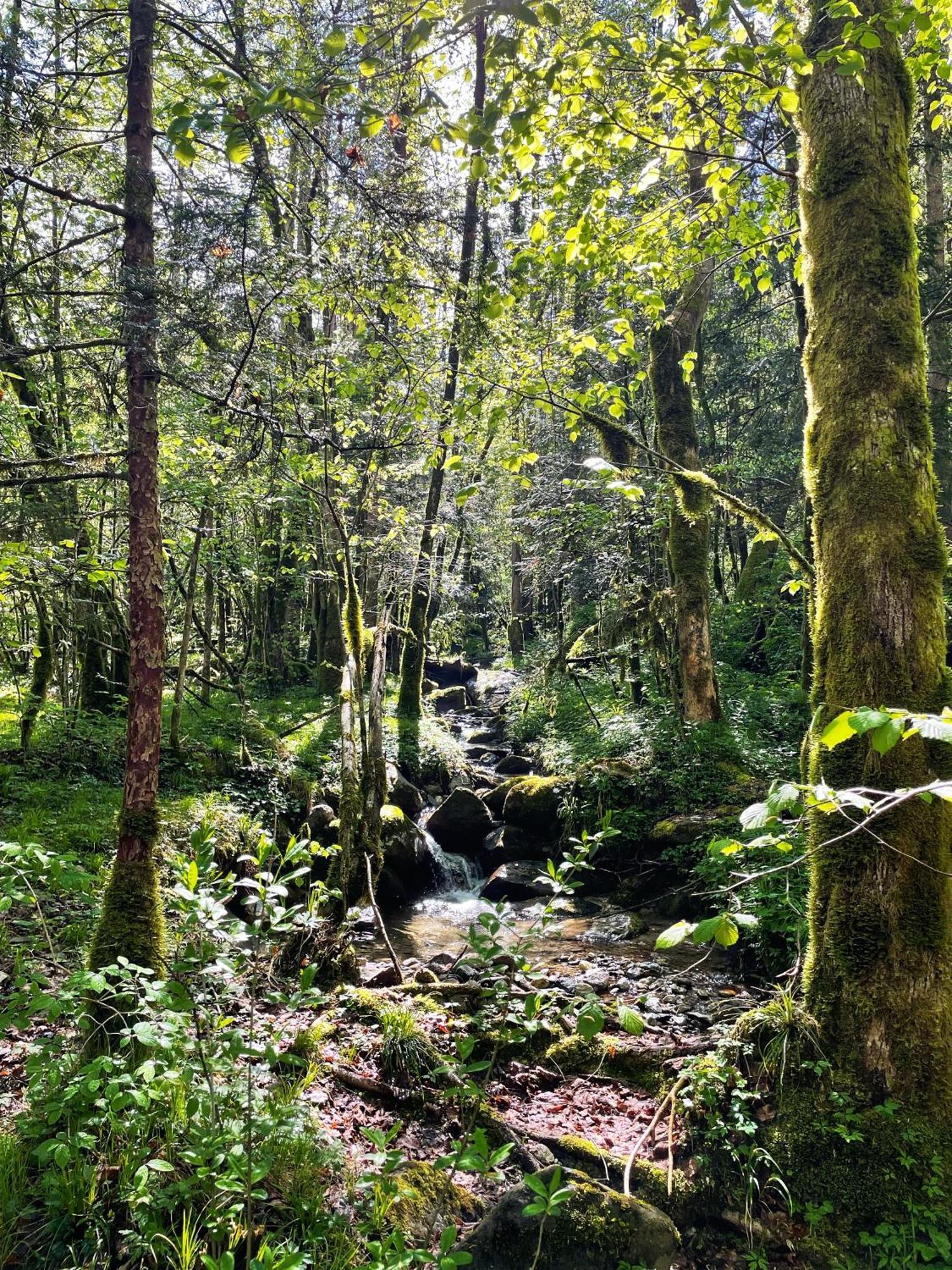 Ortighera Monolocale Relax Sulla Ciclabile Lenna Kültér fotó